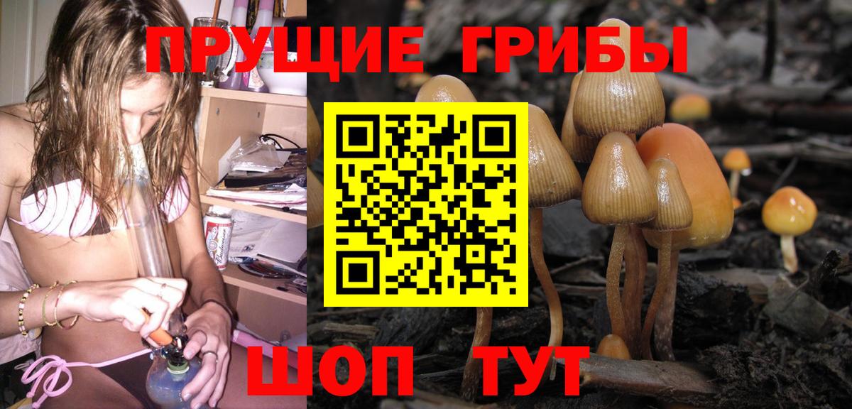 Псилоцибиновые грибы Cubensis Подольск