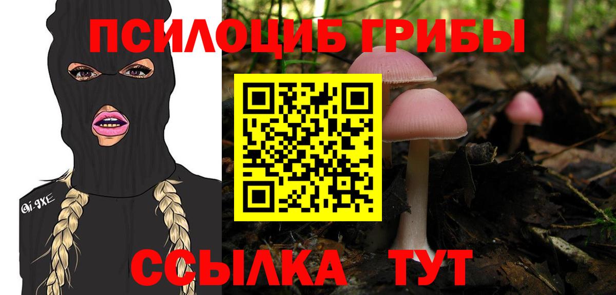 Псилоцибиновые грибы мицелий  Вход с VPN  Подольск 